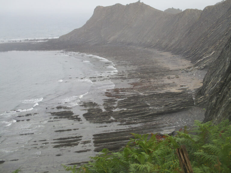 Flysch Zumaia–Deba, 2017