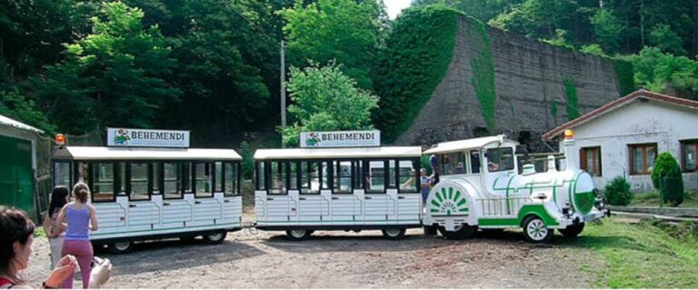Tren Minero